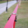 Classic Slackline Walking Rope